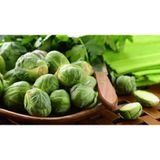 Boothas Brüksel Lahanası Sebzesi Tohumu 20 'Li Saksı Torf