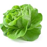 Boothas Butterhead Marul Sebze Tohumu 20 'Li Saksı Torf