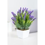 Boothas Lavanta Çiçek Tohumu 15 Adet + Saksı + Torf