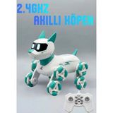Boratila Toys 2.4ghz Şarjlı Uzaktan Kumandalı 360° Dönen Merdiven Çıkan Akıllı Robot Kopek - Yeşil