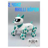Boratila Toys 2.4Ghz Şarjlı Uzaktan Kumandalı 360° Dönen Merdiven Çıkan Akıllı Robot Kopek