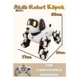 Boratila Toys Akıllı Robot Köpek 360 Derece Dönebilen Çok Fonksiyonlu Uzaktan Kumandalı Oyuncak akıllı-köpeklerler