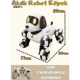Boratila Toys Akıllı Robot Köpek 360 Derece Dönebilen Çok Fonksiyonlu Uzaktan Kumandalı Oyuncak - Kahverengi