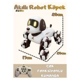 Boratila Toys Akıllı Robot Köpek 360 Derece Dönebilen Çok Fonksiyonlu Uzaktan Kumandalı Oyuncak