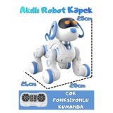 Boratila Toys Uzaktan Kumandalı Şarjlı Çok Fonksiyonlu Eğitici ve Öğretici İnteraktif Akıllı Robot Köpek akıllı-köpekler