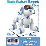 Boratila Toys Uzaktan Kumandalı Şarjlı Çok Fonksiyonlu Eğitici ve Öğretici Interaktif Akıllı Robot Köpek - Mavi