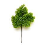 borayris Yapay Çiçek Bonzai Dalı Bonsai Yaprakları Dekoratif Yapay Bitki MEK