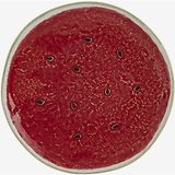 Bordallo Pinheiro Watermelon Kırmızı Seramik Kahvaltı Tabağı 21,5 cm - Sofra Grubu