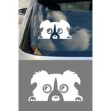 Border Collie Köpek Resmi Oto Araba Cam Sticker Çıkartma Bilgisayarlar,Kamyonlar, Motosikletler İçin