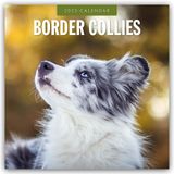 Border Collies – Border Collie 2025 – 16-Monatskalender: Original Red Robin Publishing Ltd-Kalender [Mehrsprachig] [Kalender] (Wall-Kalender)
