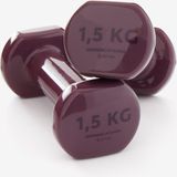 Bordo 1,5 kg Dambıl - 2 Adet - Fitness - Standart