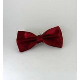 Bordo Düz Renk Saten Papyon - SP-03