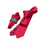 Bordo Noktalı Mendilli Slim Kravat