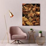 BORDO SANAT 70x85cm Kedi Dekoratif Duvar Kanvas Tablo