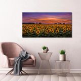 Bordo Sanat BRD-SNT-M-0502 80x40 cm Ayçiçeği Tarlası Dekoratif Duvar Kanvas Tablo