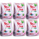 Borline Bor Line Matik Toz Çamaşır Deterjanı 24KG (Renkliler Için) 156 Yıkama (6pk*4kg) - 24 kg