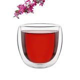 Borosilikat Çift Camlı Çift Cidarlı Bardak Meşrubat Bardağı Kupa Bardak 250ml