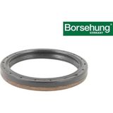 Borsehung 02M301189G ŞANZİMAN KEÇESİ - FABİA-BORA-ARONA-A1