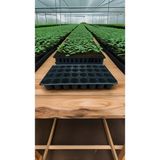 Börte Store 32 Göz Viyol Fide Tohum Çiçek Yetiştirme Viyolü 10 Adet (31X51)