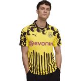 Borussia Dortmund Iç Saha Erkek Sarı Futbol Forma 78008801