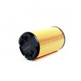 Bosch 13717534825 Peugeot Citroen Mini Couper Hava Filtresi