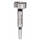 Bosch 2608596976 30 mm Ahşap Menteşe Açma Ucu