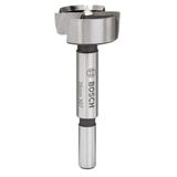 Bosch 2608596977 35 mm Ahşap Menteşe Açma Ucu