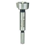 Bosch 2608597111 27 mm Ahşap Menteşe Açma Ucu
