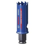 Bosch 2608900420 22 mm Expert Sert Malzemeler için Panç