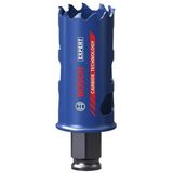 Bosch 2608900422 32 mm Expert Sert Malzemeler için Panç