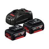 Bosch 2x18 V 5.0 AH Akü ve Şarj Cihazı