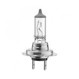 Bosch Ampul 24v Standart H7 70w