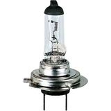 BOSCH CITROEN C4 H7 Ampul 2004 - 2016 (621697)