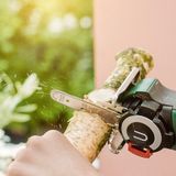 Bosch EasyCut 12 Ağaç Budama Makinesi