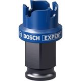 Bosch Expert Sheet Metal Delik Açma 20 x 5 mm Testere