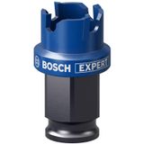 Bosch Expert Sheet Metal Delik Açma 22 x 5 mm Testere