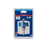 Bosch Expert Sheet Metal Delik Açma Testeresi 54 mm