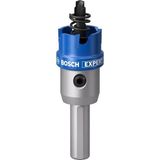 Bosch Expert TCT Elmas Uçlu Metal İçin 20 mm Panç