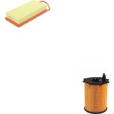 Bosch Filtre Bakım Seti Peugeot 206+ 1.4 Hdı Dizel 2009-2010 DV4TD/TED/TED4 Hava + Yağ Filtre