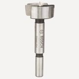 Bosch Freze 35 mm Menteşe Ucu