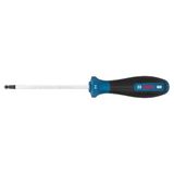 BOSCH H4 Allen Uçlu Tornavida 100 mm