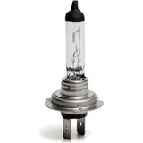 BOSCH H7 AMPUL