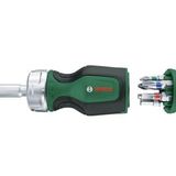 Bosch Home and Garden Cırcırlı Tornavida Değiştirilebilir 6 Uçlu (Set 2)