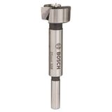 Bosch Menteşe Açma Ahşap 25 mm Matkap Ucu