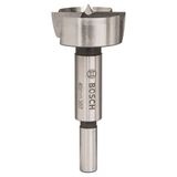 Bosch Menteşe Açma Ahşap Özel 40 mm Matkap Ucu