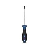 Bosch Pro Th15x100 Mm Delikli Torx Tornavida 1600a039sk Mavi