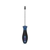 Bosch Pro Th40x125 Mm Delikli Torx Tornavida 1600a039sr Mavi