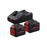 Bosch Procore 18V 2X12.0AH + GAL 18V-160 C Akü Kit 1.600.A01.6GY - 18 W