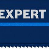 Bosch Professional 1x EXPERT 'Cement Cast Iron' S 1750 RD Panter Testere Bıçakları (Dökme demir, Fiber plastik GFK, CFK, Uzunluk 250 mm, Aksesuar Panter Testere)