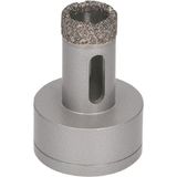 Bosch Professional El Kuru Matkap Ucu (Seramik, X-Lock, Kuru Hız, Çalışma Uzunluğu 35 Mm), 2608599029